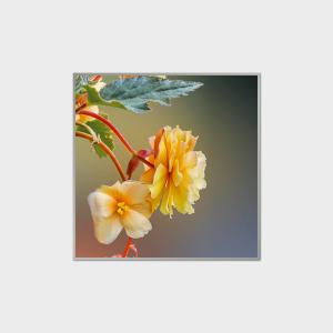 China 33.2 Inch Square LCD Display 420nits LVDS LCD Module For Shopping Malls wholesale
