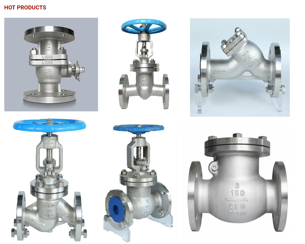 General Stainless Steel CF8/CF8M Low Temperature Cold Treatment 40 Mesh RF Ends Y Strainer