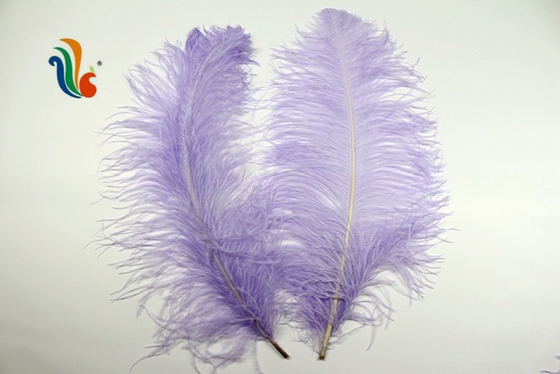 40-45cm Ostrich Feather Plumes For Event Party Supplies Decorations