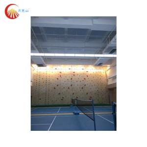 China Indoor Speed Climbing Wall Auto Belay Waterproof For Gymnasium wholesale