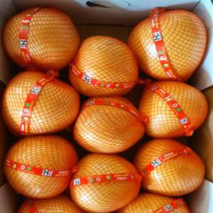 China Chinese Golden Supplier Delicious Fresh Honey Pomelo / Grapefruit With Global GAP Certified wholesale
