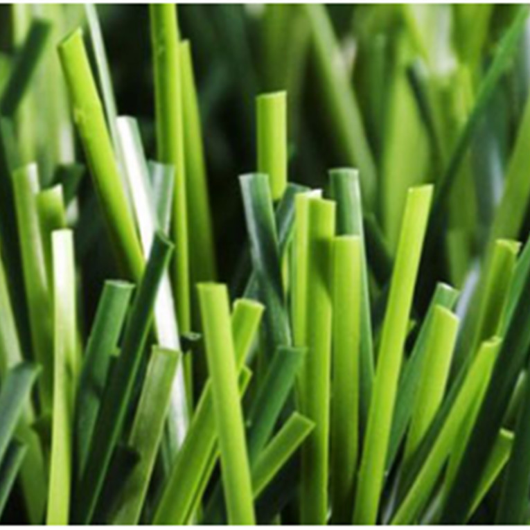 Sports Artificial Turf For Soccer Field Synthetic Grass UV Resistance Low Maintenance Easy Installation