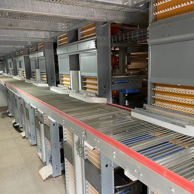 Hi Hope H Type Poultry Cage 6 Tiers 8 Tiers Egg Laying Chicken Cage