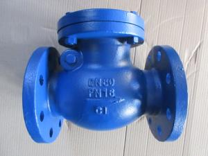 China DIN swing check vavle wholesale