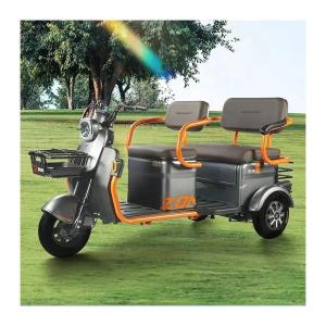 China 48V Electric Tricycle for Seniors Driving Mileage ≥90km Voltage 48V Tuktuk in Israel wholesale