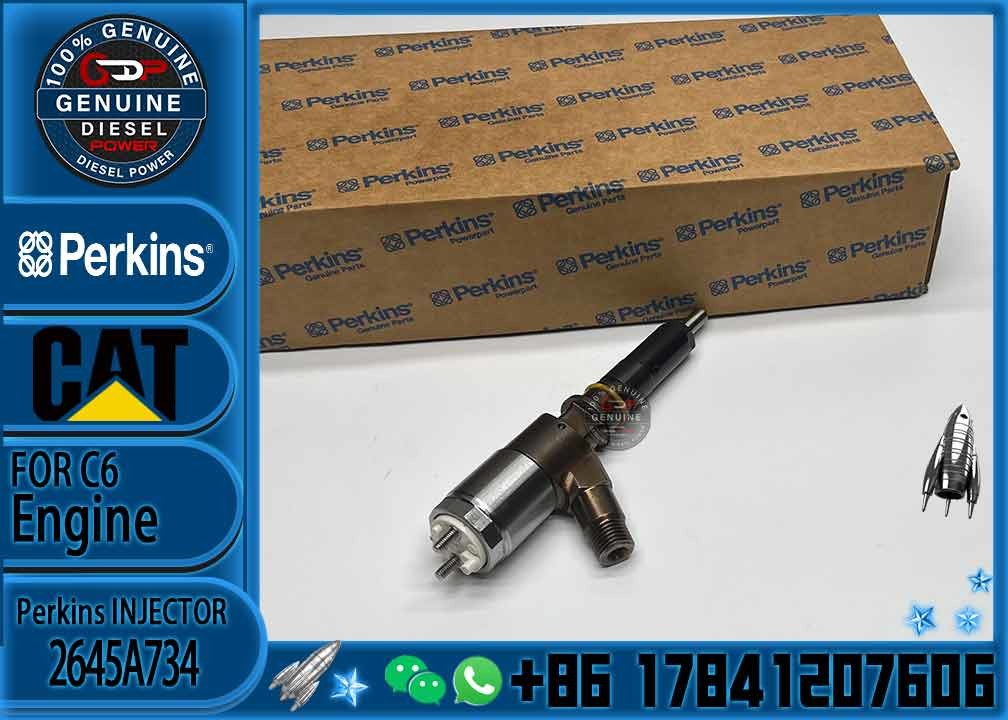 CAT C6.6 injector 306-9380 2645A734 Injection Nozzle 282-0490 2645A709 FOR E312D E313D E320D E321D injector assembly