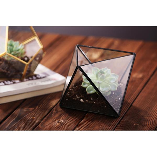 Mini Metal Tabletop Geometric Air Plant Holder , Himmeli Decor Glass Air Plant Holder