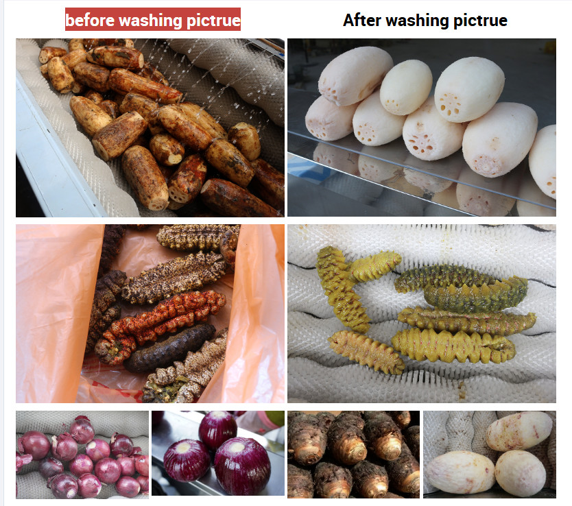 Rotary Soft Nylon Filament Radish Potato Cleaning Brush Roller