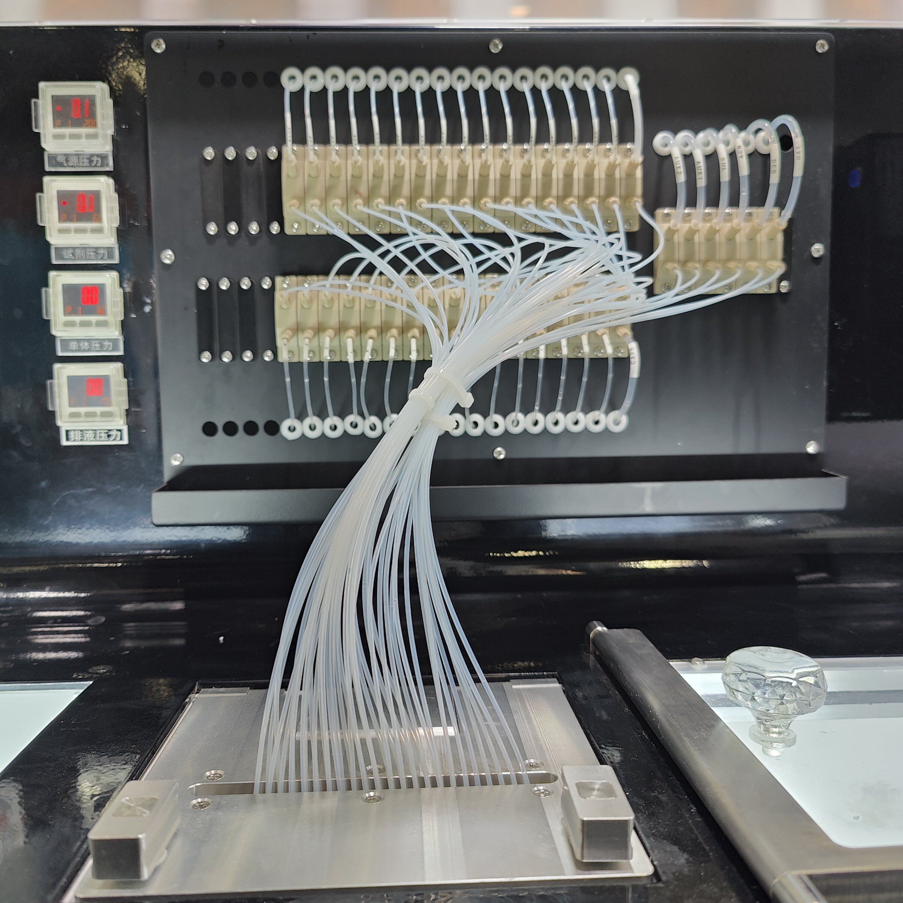 Medium Scale Oligo Synthesizer 12 Columns for Optimal Oligonucleotide Synthesis