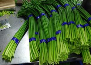 China New Crop Chinese Fresh Garlic Bolt wholesale