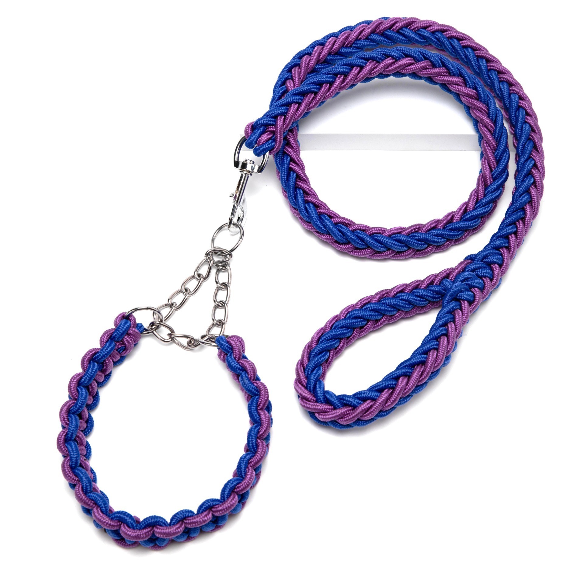 kitten collar and leash