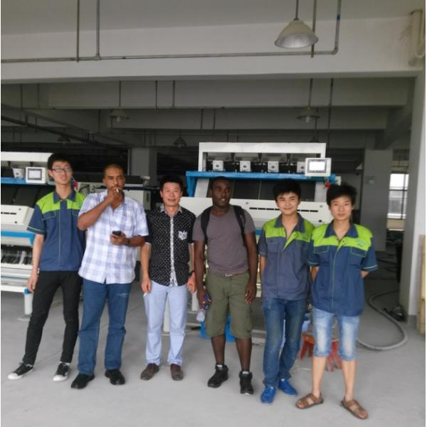 Factory Price Wholesale Coffee Beans Color Sorter Machine for Bean Sorting Machine Toshiba Camera Small Rice Sorter