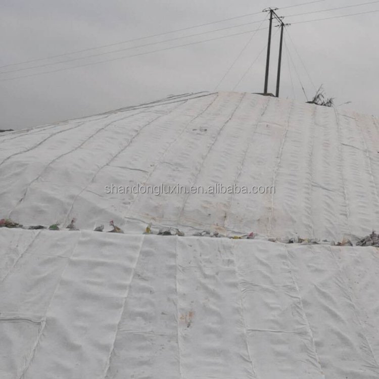 Payment T/T 3D Composite Drainage Geonet for Drainage in Office Building Construction