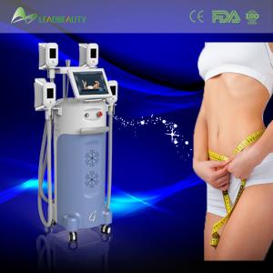 China Fat reduce beauty device cryolipolysis body slimming machine wholesale