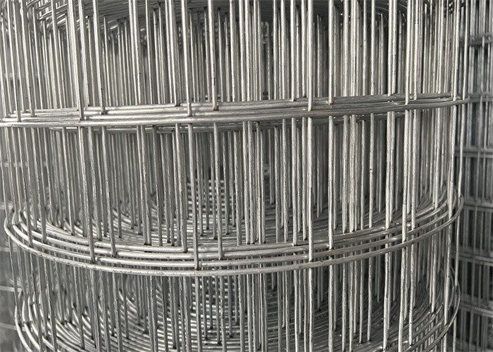 Best Seller 2"X2" Mesh Size  High Quality  Galvanized Welded Wire Mesh