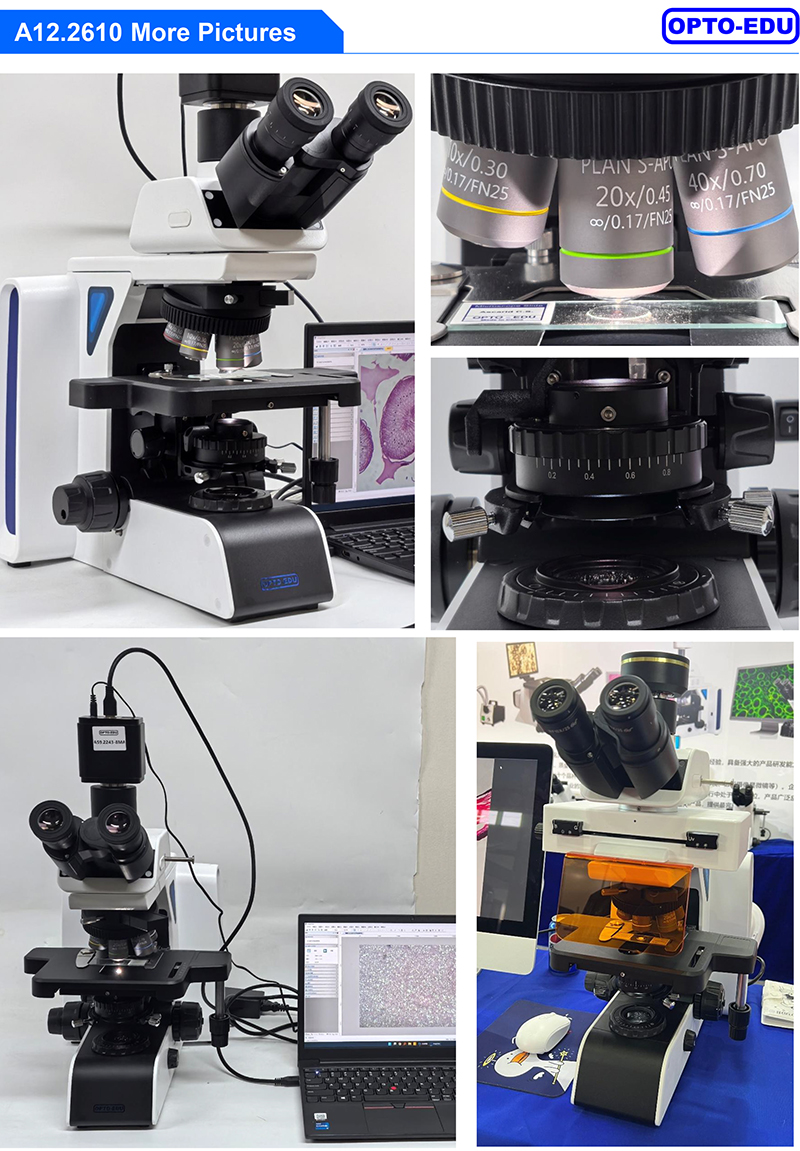 OPTO-EDU A16.2610 Trinocular 1000X Ultra LED Fluorescent Microscope