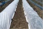 Custom color waterproof spun-bonded nonwoven fabric for bags
