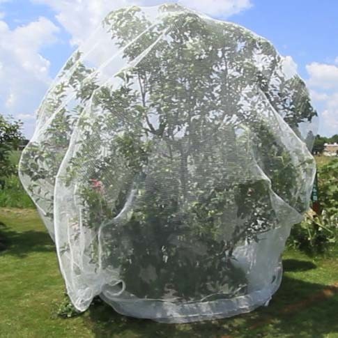4m Wide Tear Resistant HDPE Black Insect Net with 50 Mesh