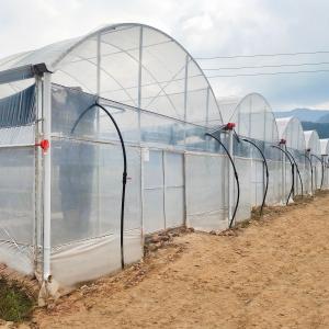 China Turnkey Projects Installed Commercial Hydroponic Plastic Film Green House Multi-span Agricultural Greenhouses wholesale