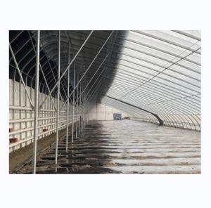 China Solar Winter Greenhouses Warm Agricultural Greenhouse with Galvanized Steel Frame wholesale