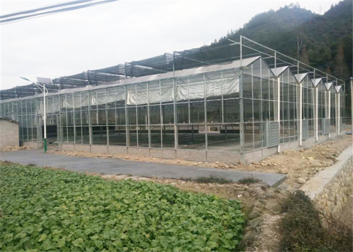 Large Size Agricultural Glass Greenhouse 3m - 6m Side Height Stable Structure