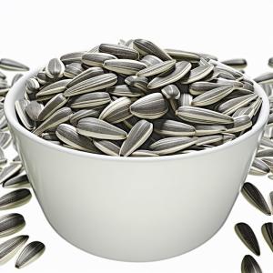 China Sunflower Seeds T5 The Best Choice for Your Business wholesale