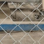 Pressure Treated Wood Type Heat Treated Chain Link Fence for Temporary Outdoor