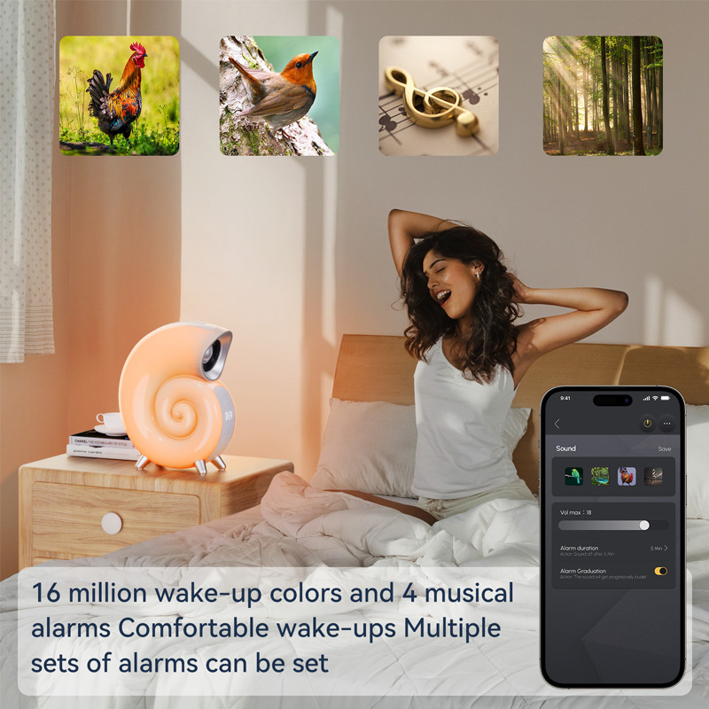 Music Play Conch Music Lamp G Speaker Lamp Built-in 2000mAh Rechargeable Battery and OEM / ODM Support