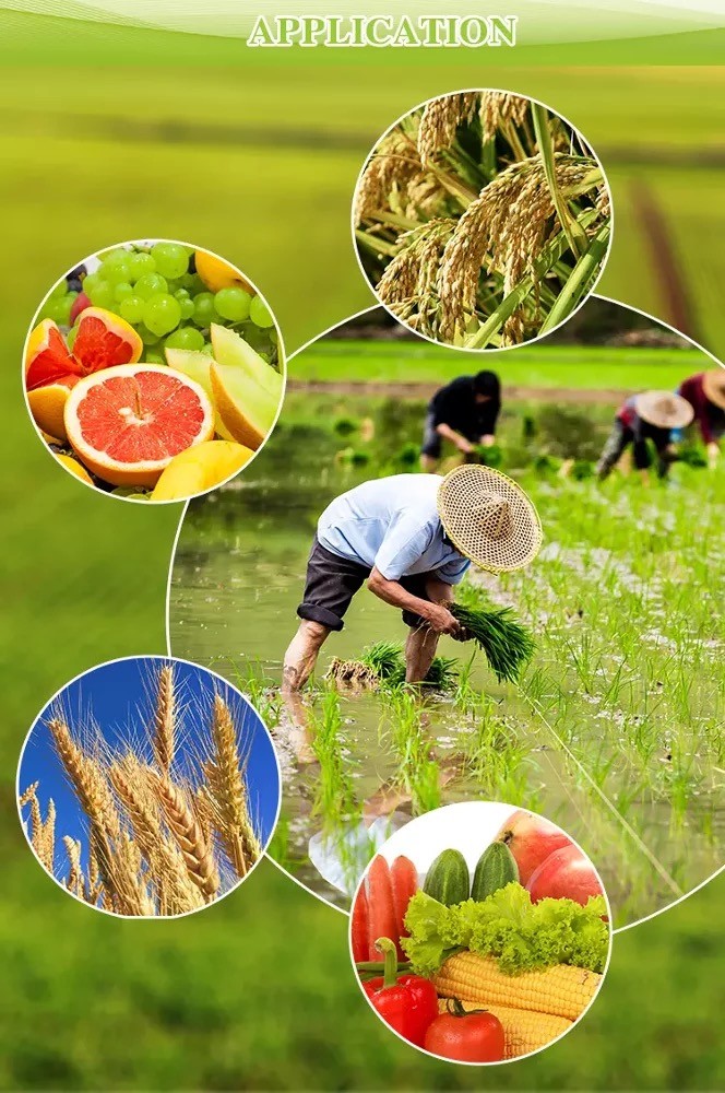 Custom Logo Soil Conditioner 15 15 15 NPK Compound Fertilizer