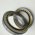 FAG Cylindrical Roller Bearings NU1020-E-XL-M1-C3