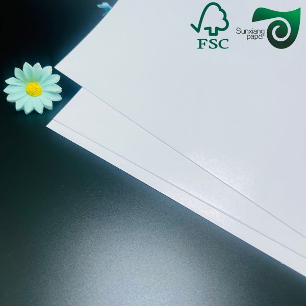 FSC C2S Coated Two Sides Matte Glossy Coated Art Board 80G 115G 635mm 900mm