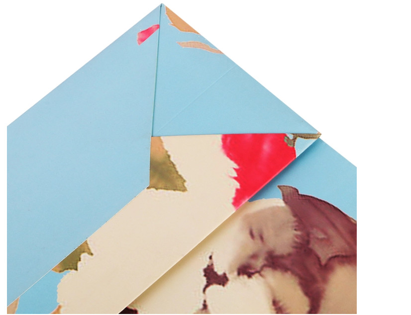 Delicate Design Custom Printed Paper Bags / Paper Merchandise Bags OEM / ODM Available