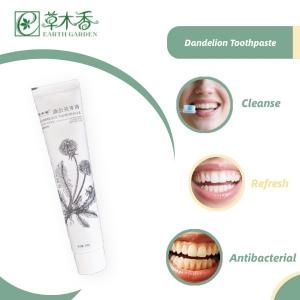 China Freshness Dandelion Sensitive Toothpaste Anti Inflammatory Toothpaste Herbal wholesale