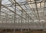 Sided Ventilated Cooling Pad Multi Span Pc Sheet Greenhouse