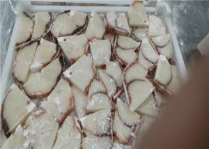 China Sail Fish Frozen Marlin wholesale