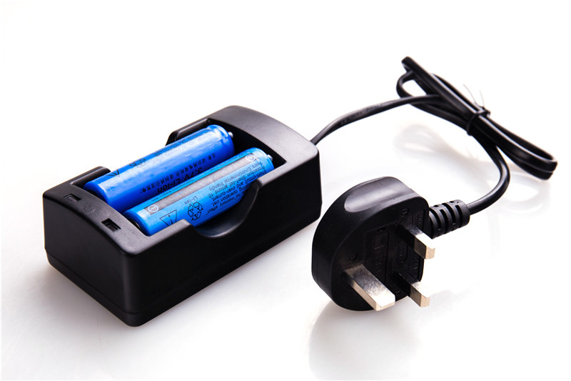 Professional 3.7 V 2 Cell Lithium Ion Battery Charger , 18650 Fast Charger 950Y