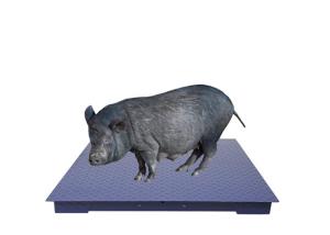 China Heavy Duty Floor Scales High Precision Portable Floor Scales Powder Coated wholesale