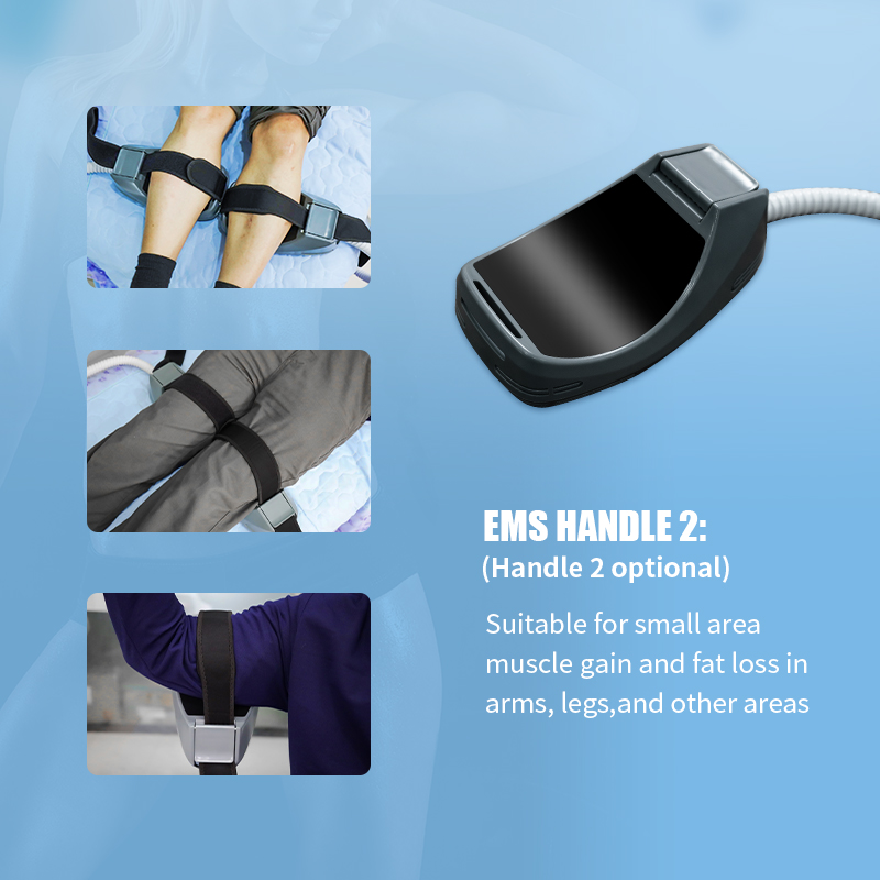 Tesla Ems Laser 2 Handles Intensity Pulsed Electromagnetic RF 5000w Muscle Stimulator