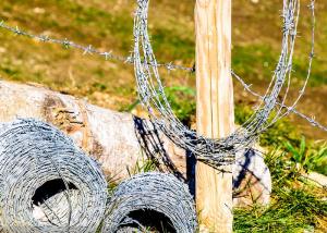 China Double strand traditional twist Hot Dipped Galvanized Barbed Wire wholesale