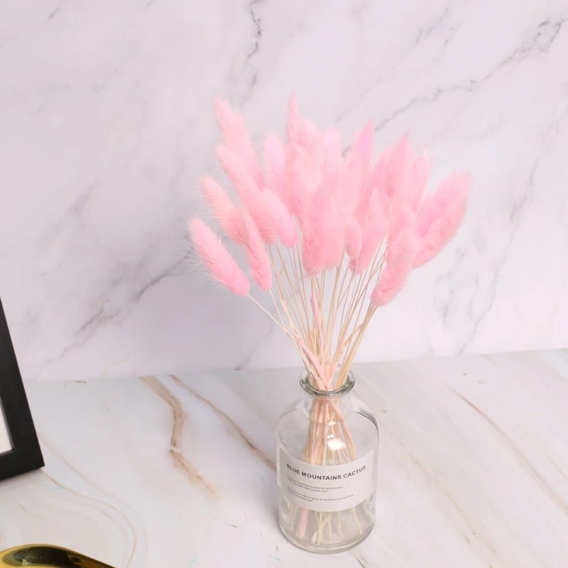 Wholesale Price Preserved Flower Dried Rabbit Tail Grass Decorative Flowers