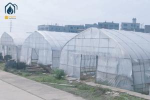 China Hot Dip Galvanized Pipe High Tunnel Greenhouse Customizable Agriculture Greenhouse wholesale