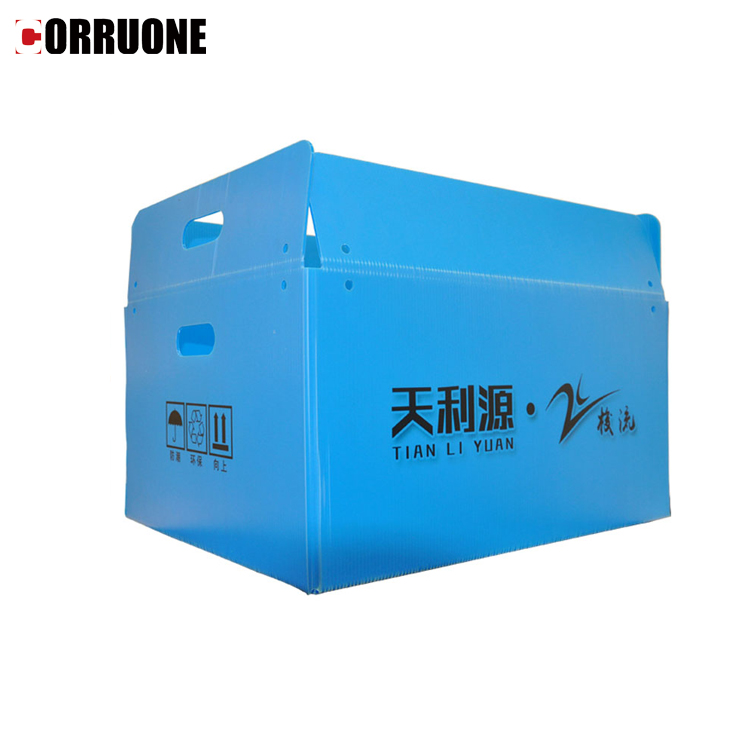 A4 Nuc Asparagus Corrugated Plastic Sheet Box With UV Coating