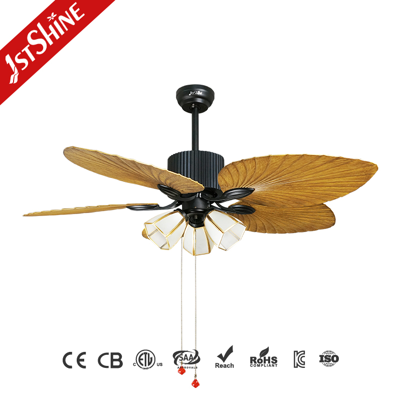ceiling fan