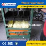 Vertical Waste Paper Baler
