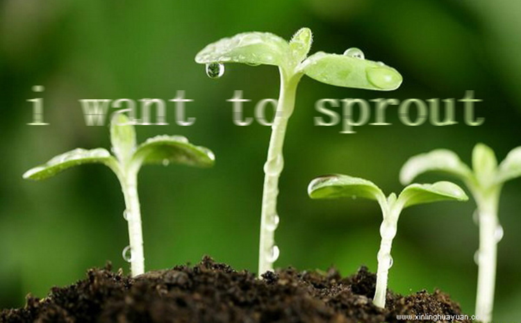 hydroponic soft plastic plant with competitive price pot potato pot