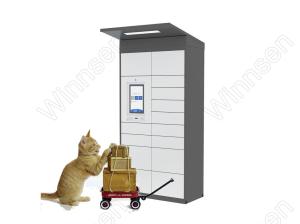 China Sms Sending Oem Parcel Station FCC For School wholesale