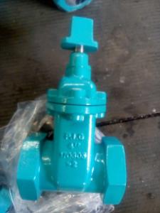 China ANSI gate valve threaded ends wholesale