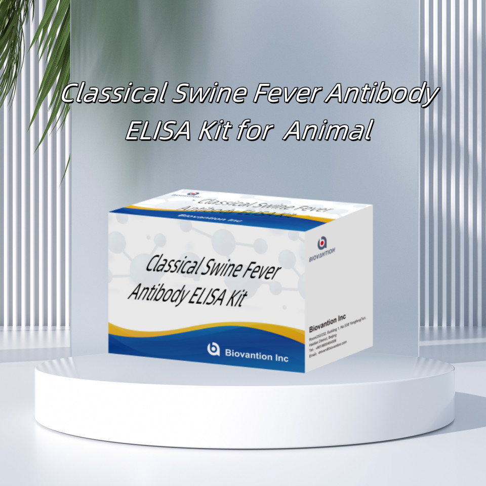 Detection Kit For CSFV Classical Swine Fever Antibody For Animal Detect Reagent 192T