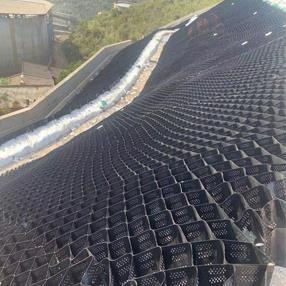 China Plastic Hdpe Green Gravel Stabiliser Grid Driveway Soil Reinforcement wholesale