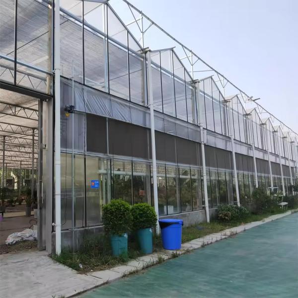 Snow Resistant Luxury Multi-span Agricultural Venlo Glass Greenhouse For